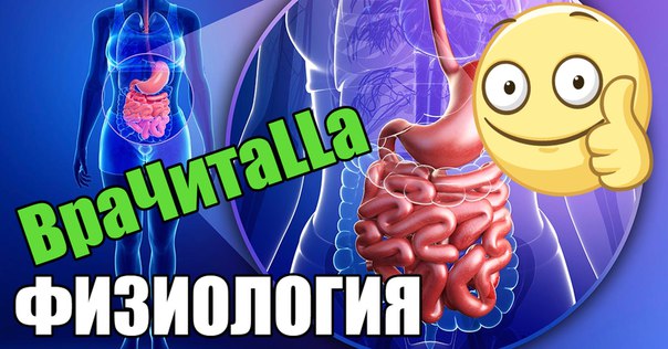  ФИЗИОЛОГИЯ ч1 