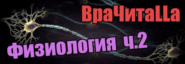 И еще немного Физиологии)!