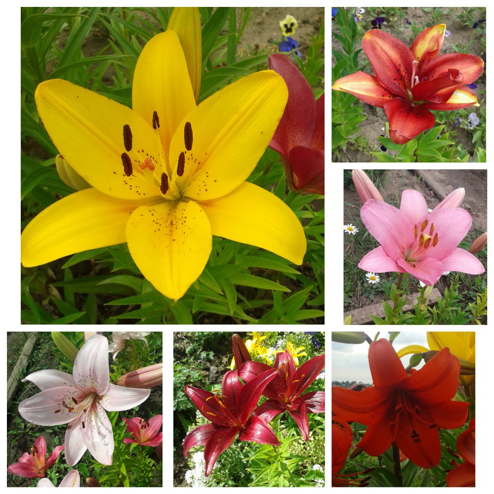 фотография из вКонтакта