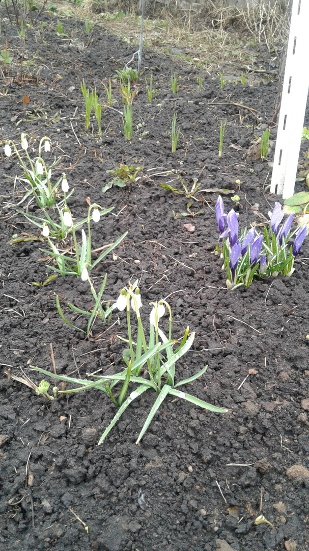 фотография из вКонтакта