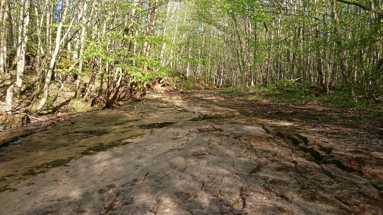 https://pp.userapi.com/c841631/v841631883/2beed/-yLLIA-qHnA.jpg