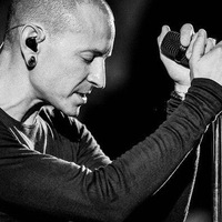 Настя Цыденова  gamb1t