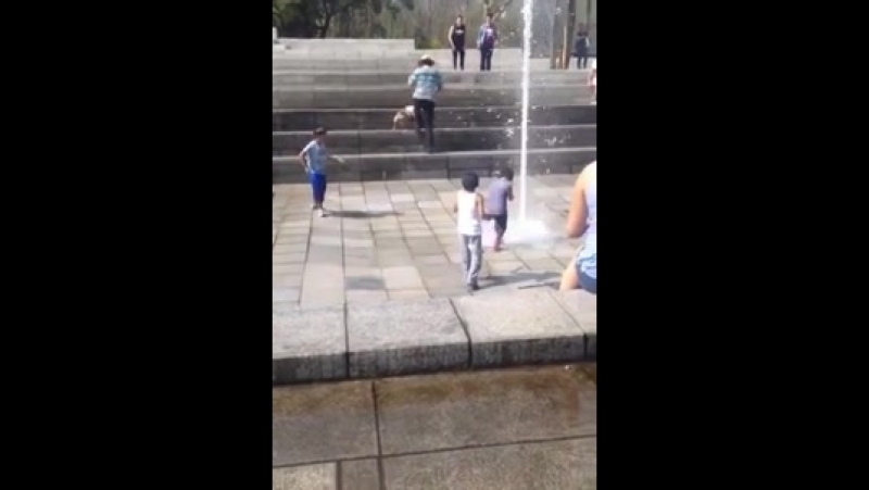 Darwin Awards categoria mirim