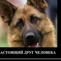 Против Клоунада