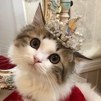 Дмитрий Куприн  Алексеевич