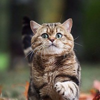 Андрей Иванов