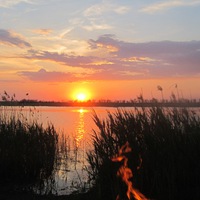 Наталья Трофимова | Саратов