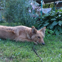 Валентина Мартынова