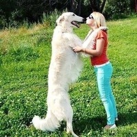 Олеся Тихонова |