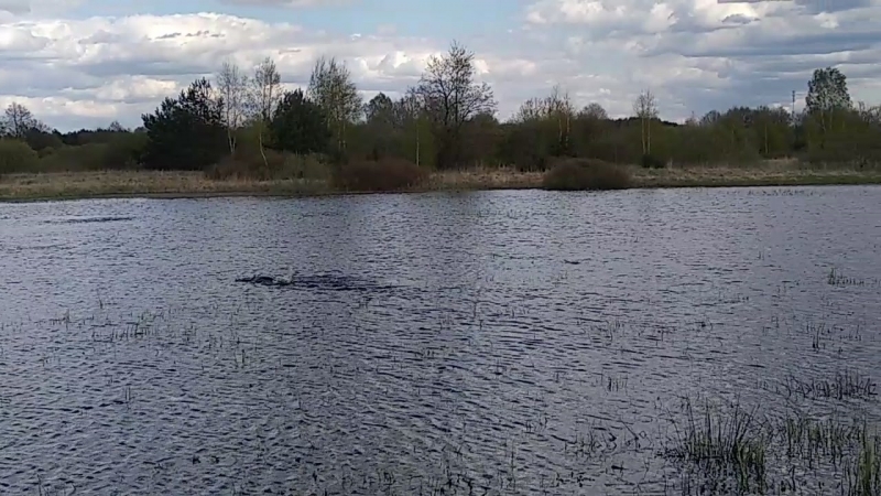 VID_20180422_151208.mp4