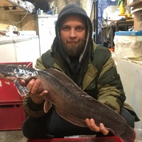 Андрей Фишраков