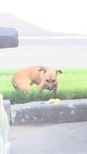 Прямо сейчас по адресу ул. Мира 44 со стороны проезжей части