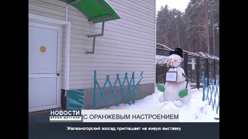 С ОРАНЖЕВЫМ НАСТРОЕНИЕМ