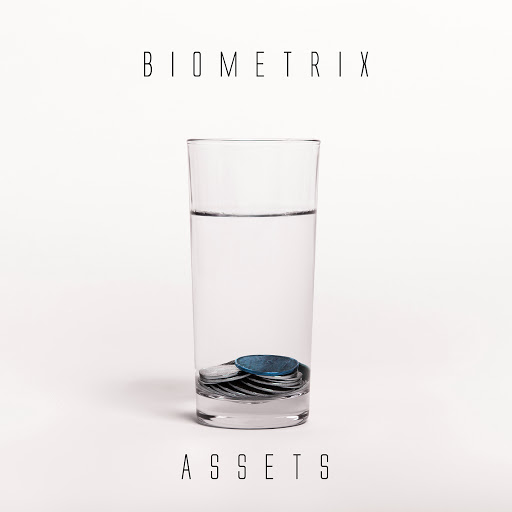 Biometrix альбом Assets