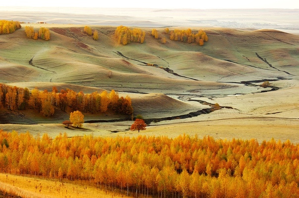 Чaтыр-Тaу, Рoссия