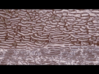 furamur - эко мех Tissavel - каракуль оникс