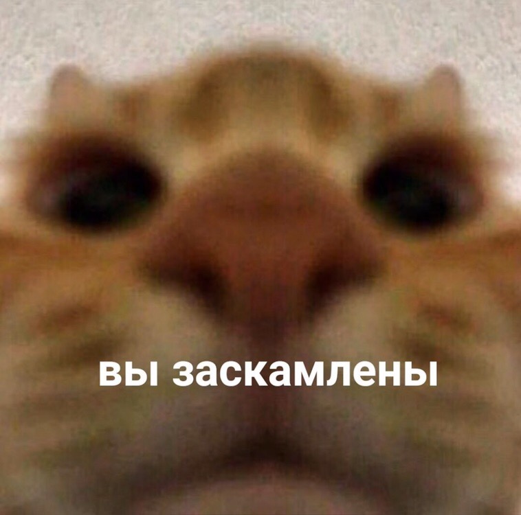 3WfjENAe2ss.jpg