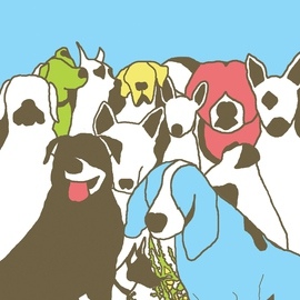 The Format альбом Dog Problems