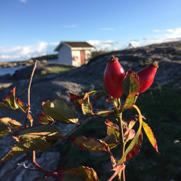Stlsvika 