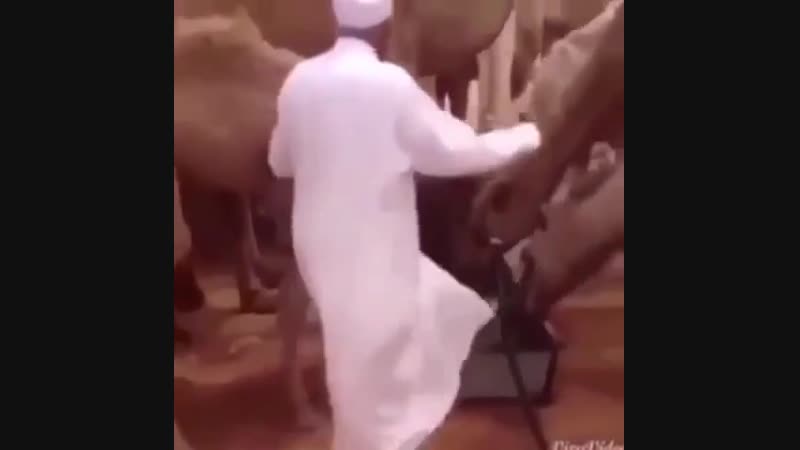 держи блеать