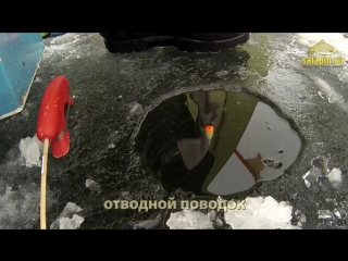 Зимние поклевки подлещика_ классический поплавок, отводной поводок, мормышка [sa