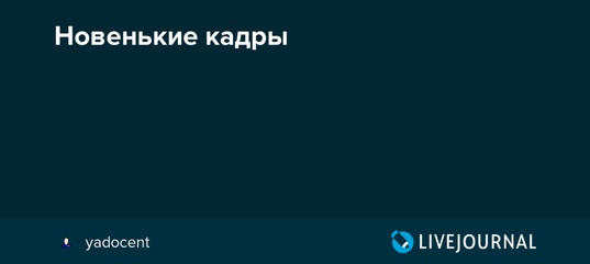 Как на зоне лесбиянки раскладывают новеньких голых