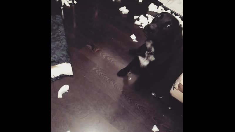 VID_161151102_081243_994.mp4