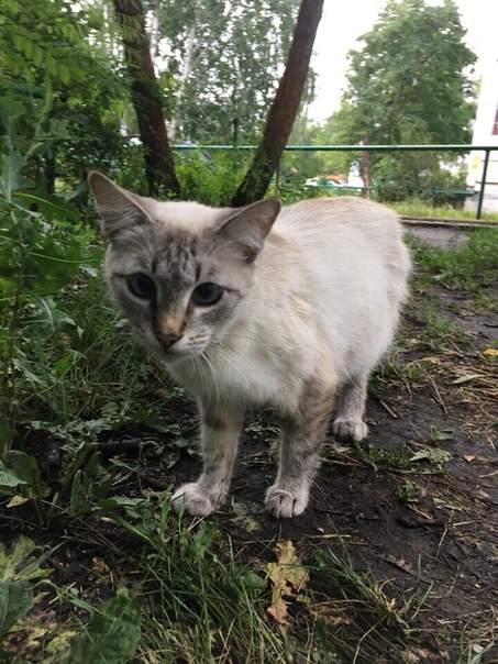 Город Пенза, Арбеково 
Что такое надежда? Это руки, согрева