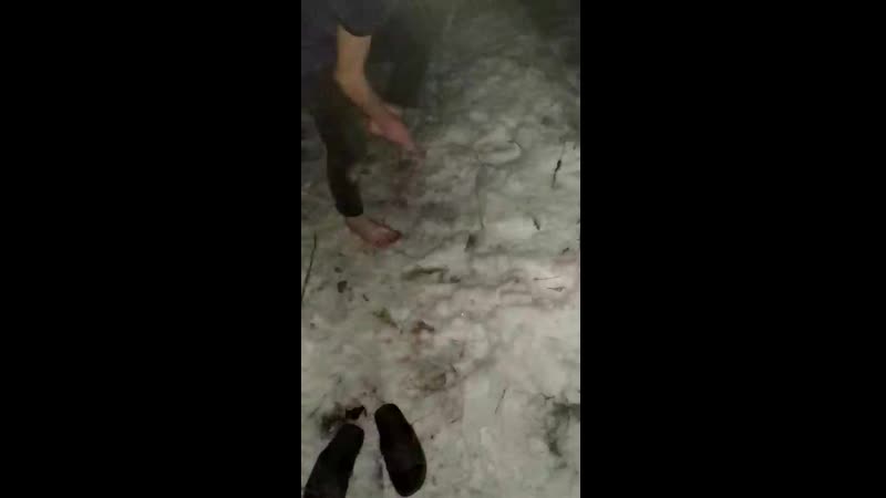 VID_20181208_053244.mp4