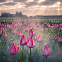 Татьяна Частная-Мама