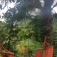 Виталий Андриенко |