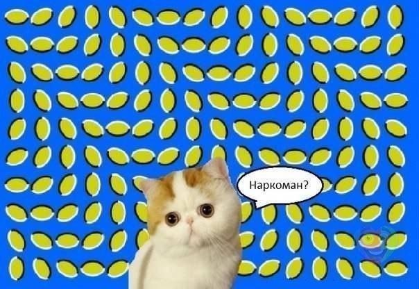 68kBaUq8k6g.jpg