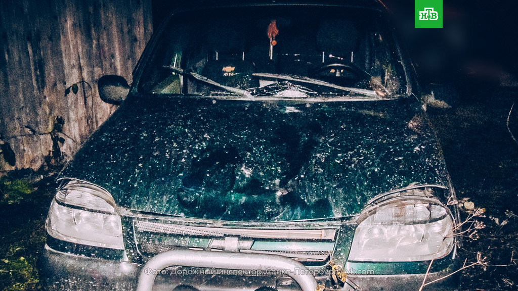 https://pp.userapi.com/c844321/v844321573/1313f2/42pK4qgrkKM.jpg