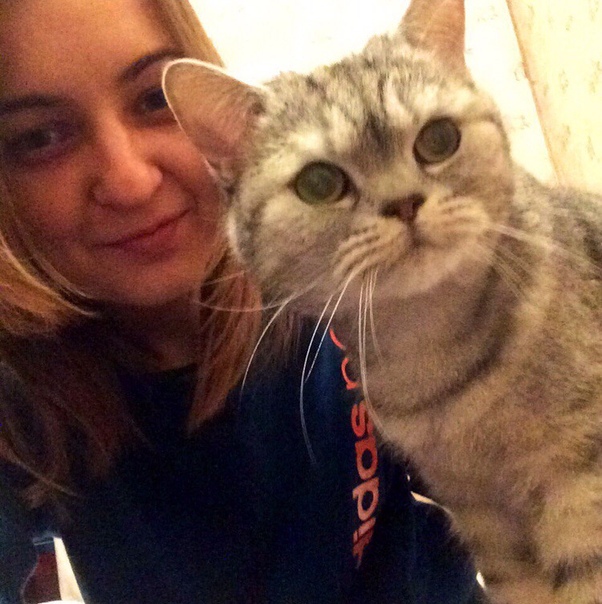 Сниму лично однокомнатную квартиру!<br>В Северном или Южном Бутово. Шаговая доступность от метро. <br>С 1 января!!! +-5 дней. <br>До 28тыс. <br>Не бабушкин вариант. <br>Платежеспособная, чистоплотная. Без шумных компаний, не курю. Дома предпочитаю отдыхать. <br>Буду проживать с кошкой, которая знает, что такое лоток и когтеточка. Мебель не дерёт. Уже в возрасте и поэтому, почти все время спит.<br><br> Мироненко - фото Фото: Сниму лично однокомнатную квартиру!<br>В Северном или Южном Бутово. Шаговая доступность от метро. <br>С 1 января!!! +-5 дней. <br>До 28тыс. <br>Не бабушкин вариант. <br>Платежеспособная, чистоплотная. Без шумных компаний, не курю. Дома предпочитаю отдыхать. <br>Буду проживать с кошкой, которая знает, что такое лоток и когтеточка. Мебель не дерёт. Уже в возрасте и поэтому, почти все время спит.<br><br> Мироненко
