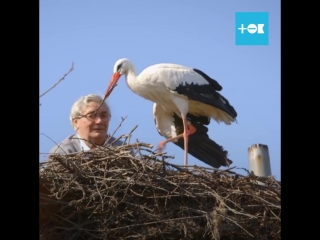 После этого видео вы поверите в то, что настоящая любовь существует
