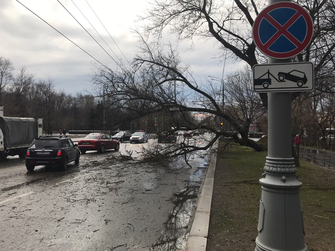 Москва встала в пробки из-за упавших на дороги деревьев: опубликованы фото с мест событий Москва встала в пробки из-за упавших на дороги деревьев: опубликованы фото с мест событий