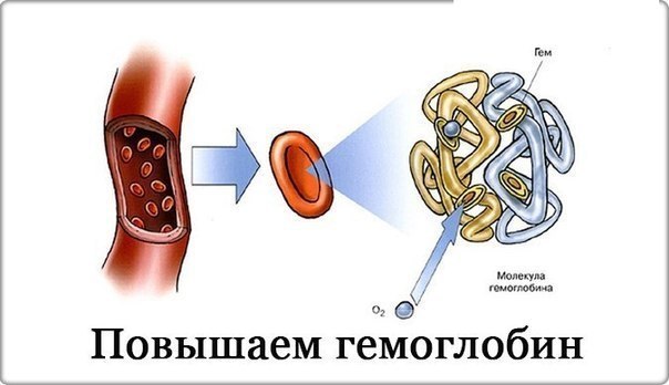 На заметочку: 7 главных продуктов для повышения гемоглобина. 1. Морковный сок. Наибольший эффект, если пить 3-4 раза в неделю по стакану. На один стакан сока приходится около 500 грамм