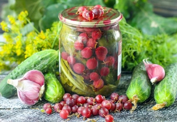 Соление и маринование огурцов: лучшие рецепты засолки