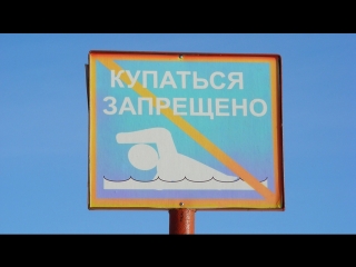 Пляжная дикость