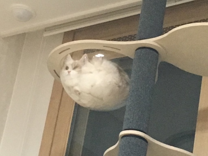 Кафе "У пани Сони"