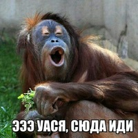 Анна Викторова | Калининград