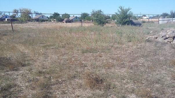 Фото: Продается в Крыму Село Елизаветово Сакский район, 27 км от г.Евпатория дом 64 кв метра с большим участком 40 соток.<br>Дом нуждается в ремонте . На участке имеется свет ,вода,газ. Дом находится в центре села, рядом имеются магазины, автобусная остановка в шаговой доступности. В селе есть школа,клуб,контора ,почта,мед.пункт,церковь,сел.совет,рынок. <br>Хорошая автобусная развязка, до города и моря 27км , ходят маршрутки и автобусы. От села в 2км находится большое озеро Донузлав (рыбалка и отдых). <br>Все интересующие вопросы по телефону или в личные сообщения <br>+ 7 978 844 59 91 <br>Документы российские на дом и на участок. <br>НЕ АГЕНТСТВО. Собственник <br>850 000 руб торг