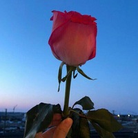 Артем Майер | Дисна