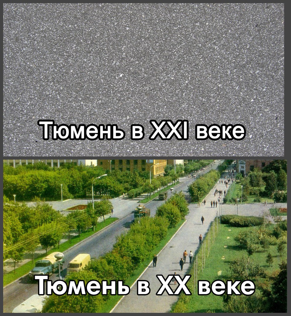 Тюмень парк тополя