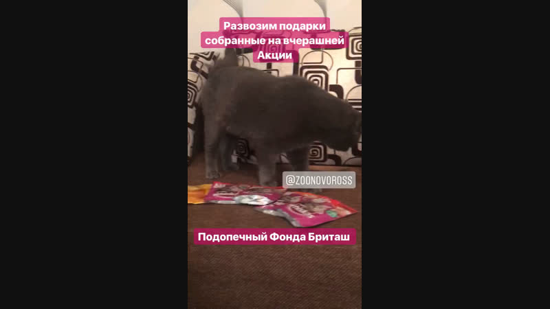 Развоз подарков с Акции 04.11.2018