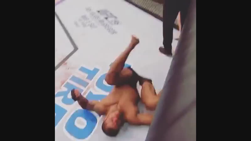 UFC