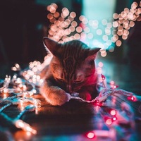 Яна Калинина | Москва