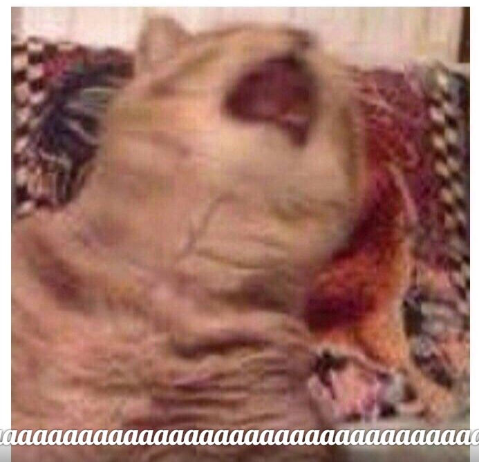 dAcWADrcMgY.jpg