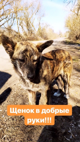 Ну классная ведь девчонка Найда!