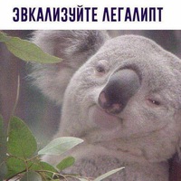 Анна Тащиан